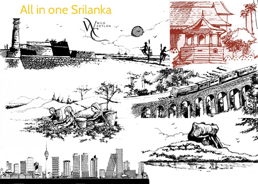 All in one Srilanka